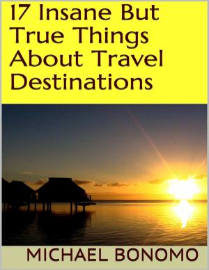 Cover of the book 17 Insane But True Things About Travel Destinations by Jacob Waitman