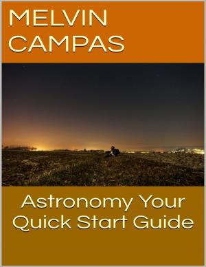 Cover of the book Astronomy: Your Quick Start Guide by Fang Liu