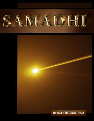 Cover of the book Samadhi (Epub) by John Kinney