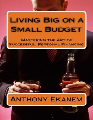 Cover of the book Living Big On a Small Budget: Mastering the Art of Successful Personal Financing by Joy Renkins