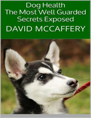 Book cover of Dog Health: The Most Well Guarded Secrets Exposed