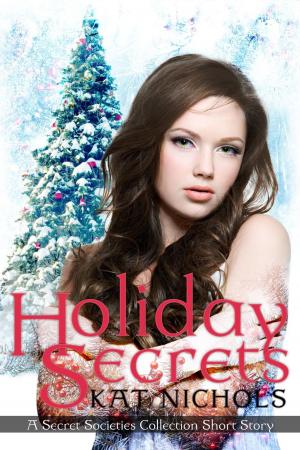 Cover of Holiday Secrets