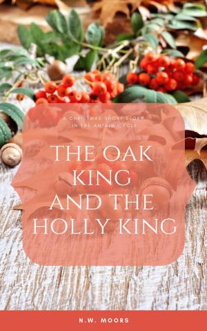 Cover of the book The Oak King and The Holly King by Stephen B5 Jones