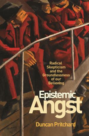 Cover of the book Epistemic Angst by 