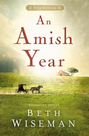 Cover of the book An Amish Year by Billy Graham