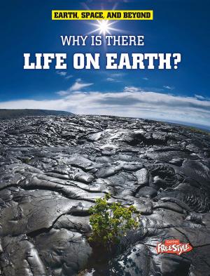 Cover of the book Why Is There Life on Earth? by Yale Stewart
