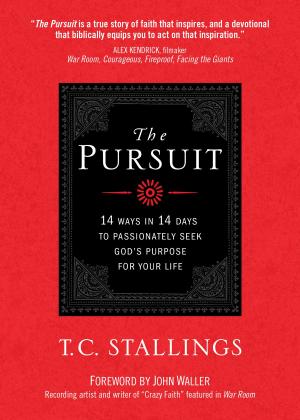 Cover of the book The Pursuit by BroadStreet Publishing Group LLC