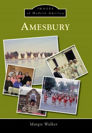 Cover of the book Amesbury by Bruce E. Mowday, Melissa A. Mowday