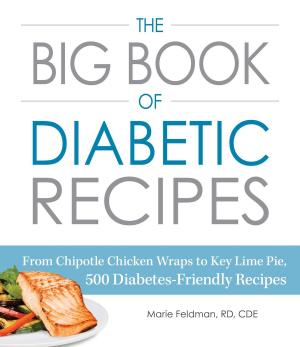 Cover of the book The Big Book of Diabetic Recipes by Alicia Williamson, Alicia Willaimson