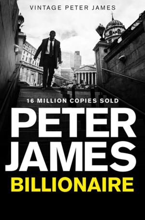 Cover of the book Billionaire by Sean O'Brien