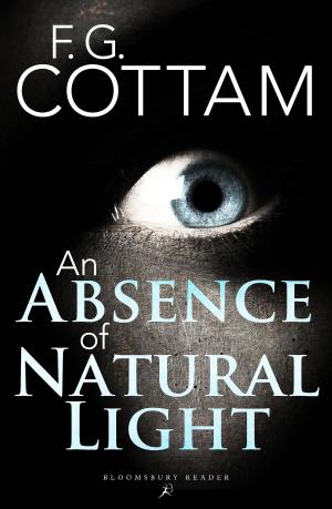 Cover of the book An Absence of Natural Light by Ellen Kaplan, Robert Kaplan