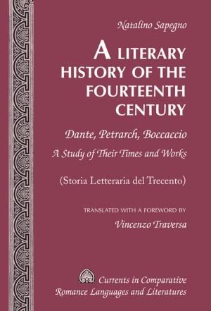 Cover of the book A Literary History of the Fourteenth Century by Ryszard Ziaja