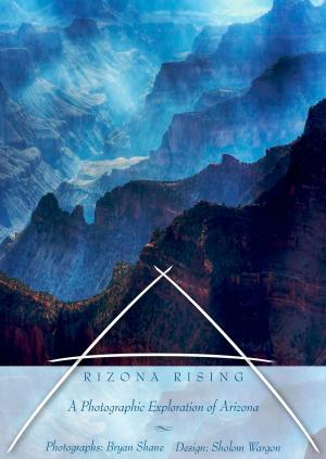Cover of the book Arizona Rising by Olegario Diaz