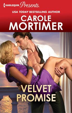 Cover of the book VELVET PROMISE by Patricia Davids
