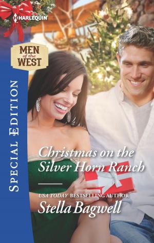Cover of the book Christmas on the Silver Horn Ranch by Amy Ruttan, Kate Hardy