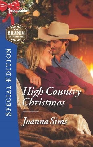 Cover of the book High Country Christmas by Patricia Thayer, Judy Christenberry