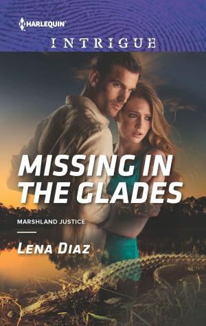 bigCover of the book Missing in the Glades by 