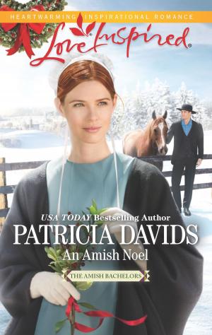 bigCover of the book An Amish Noel by 