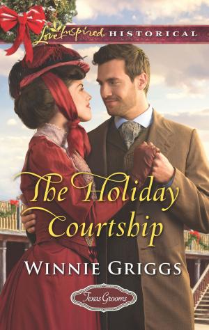 Cover of the book The Holiday Courtship by Robyn Donald