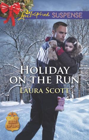 Cover of the book Holiday on the Run by Sally Wentworth