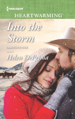 Cover of the book Into the Storm by Sandra Field, Fiona Harper, Carol Grace