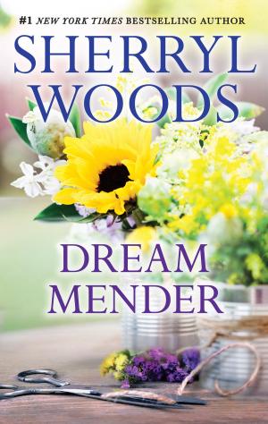 Cover of the book Dream Mender by Rachel Vincent