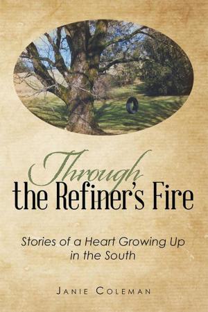 Cover of the book Through the Refiner’S Fire by Annie Antonina Peralta