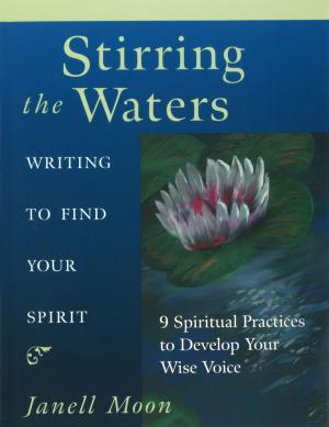Cover of the book Stirring the Waters by Sam Brier, Phouphanomlack (Tee) Sangkhampone