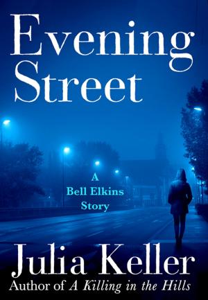 Cover of the book Evening Street by Gérard de Villiers