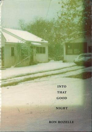 Book cover of Into That Good Night