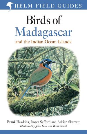 Book cover of Birds of Madagascar and the Indian Ocean Islands