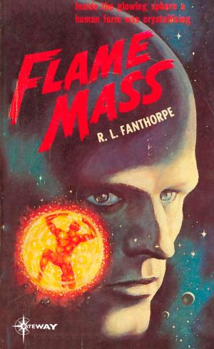 Cover of the book Flame Mass by Jay Amory