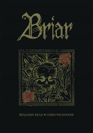 Cover of the book Briar by Edward M. Grant
