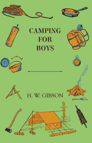 Cover of the book Camping for Boys by Ethel Armes