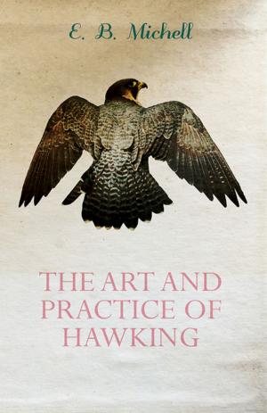 bigCover of the book The Art and Practice of Hawking by 