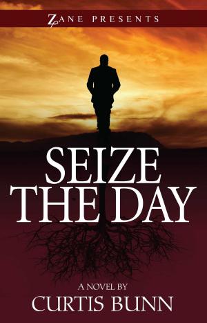 Cover of the book Seize the Day by Rique Johnson
