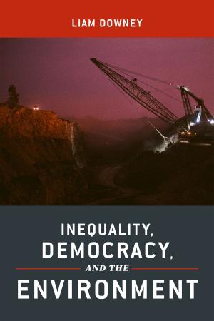 Cover of the book Inequality, Democracy, and the Environment by Joan B. Wolf