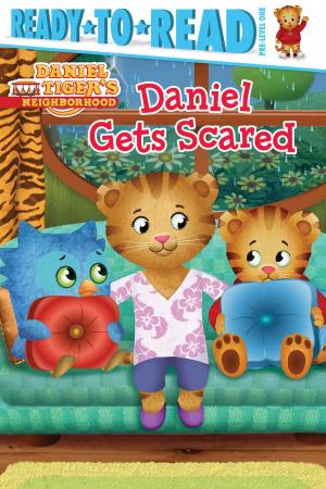 Cover of the book Daniel Gets Scared by David Milgrim