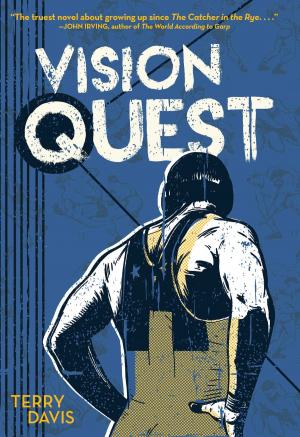 Cover of the book Vision Quest by Siri Hustvedt