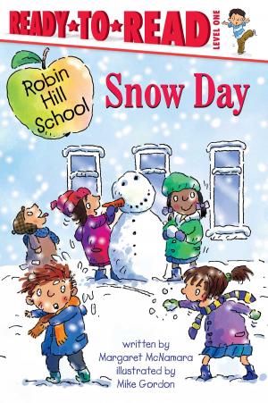 Book cover of Snow Day