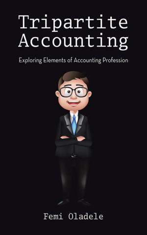Cover of the book Tripartite Accounting by Colin Cage