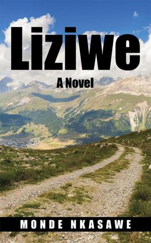 Cover of the book Liziwe by Kgaugelo Modiba