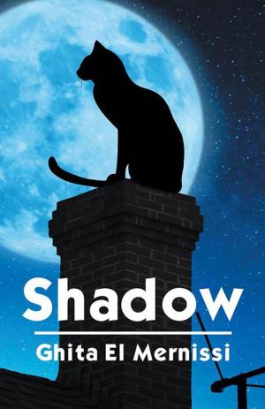 Cover of the book Shadow by Ian Trafford Walker
