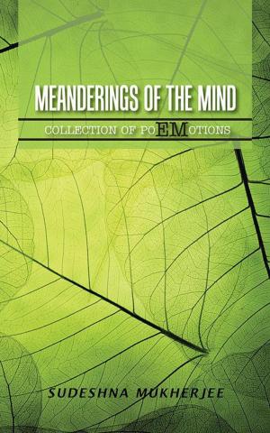 bigCover of the book Meanderings of the Mind by 