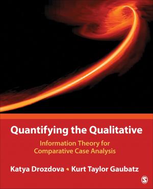Cover of the book Quantifying the Qualitative by Dr David Botterill, Vincent Platenkamp