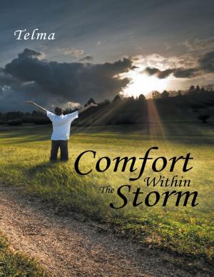Cover of the book Comfort Within the Storm by Daniel Waugh