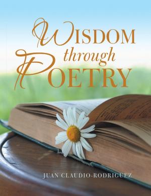 Cover of the book Wisdom Through Poetry by David Gerspach