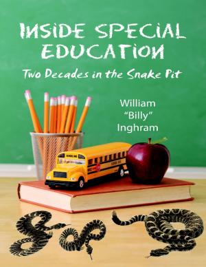 Cover of the book Inside Special Education: Two Decades In the Snake Pit by Ed Roberts