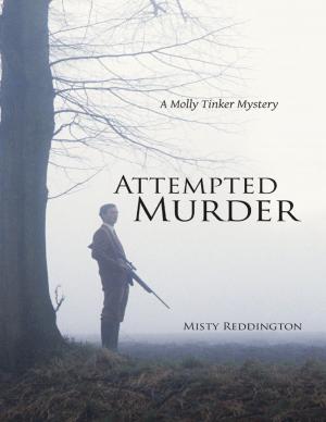 Cover of the book Attempted Murder: A Molly Tinker Mystery by Marie Jackson Peoples