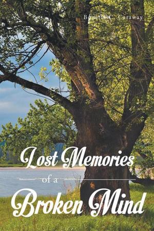 Cover of the book Lost Memories of a Broken Mind by Christopher Egbulefu